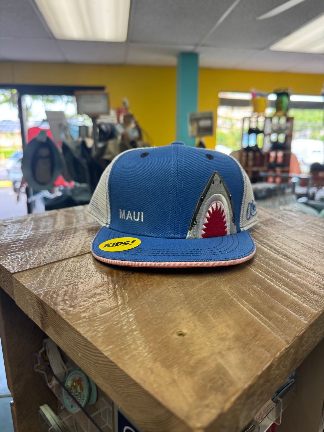 Kids Hat Shark