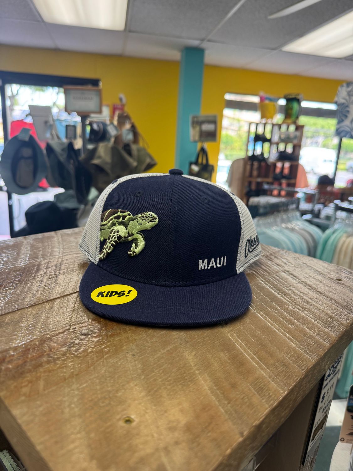 Kids Hat Turtle