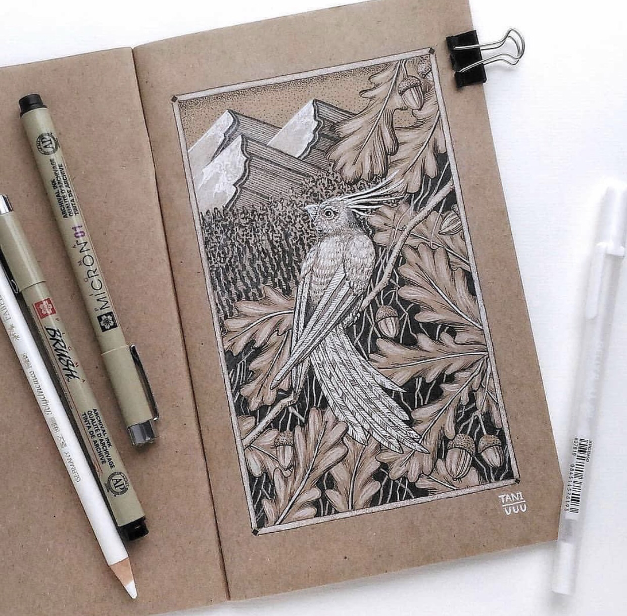 Рисунки на крафтовой бумаге в скетчбук