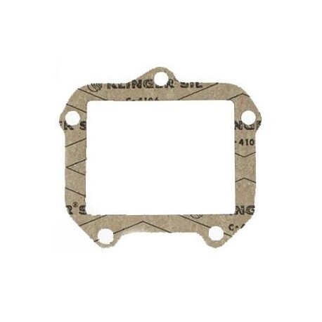 Rotax Reed Cage Gasket