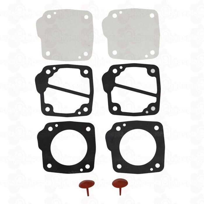 Dellorto Fuel Pump Rebuild Kit for D11023 Pump