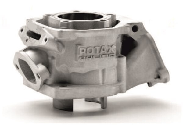 Rotax 2024 EVO Senior Cylinder (Special Order)