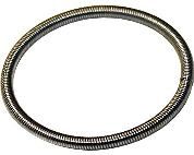 Rotax Power Valve Hose Spring Small