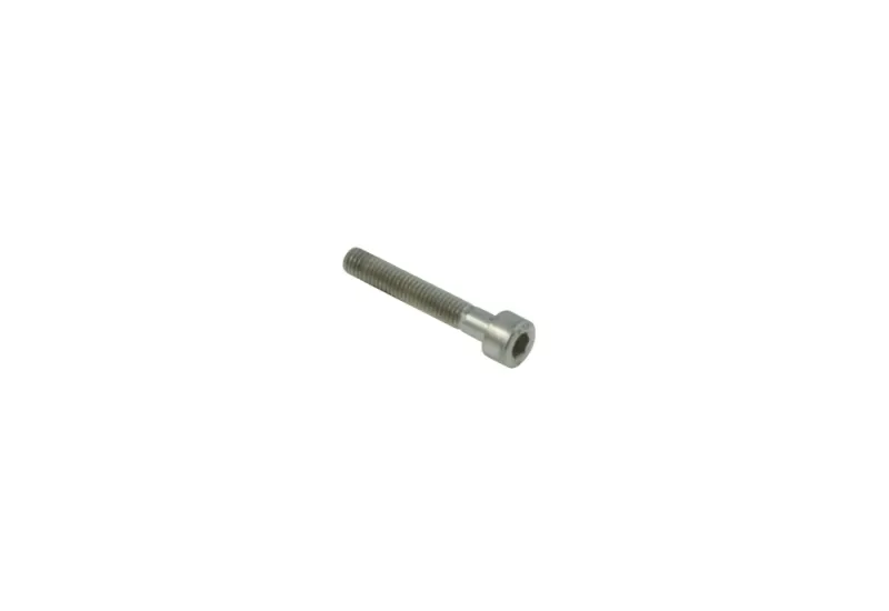5x30mm Brake Bolt For Tube For Rear Caliper 5x30mm Brake Bolt For Tube For Rear Caliper