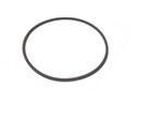 Iame X30 Outer Head Gasket ORing