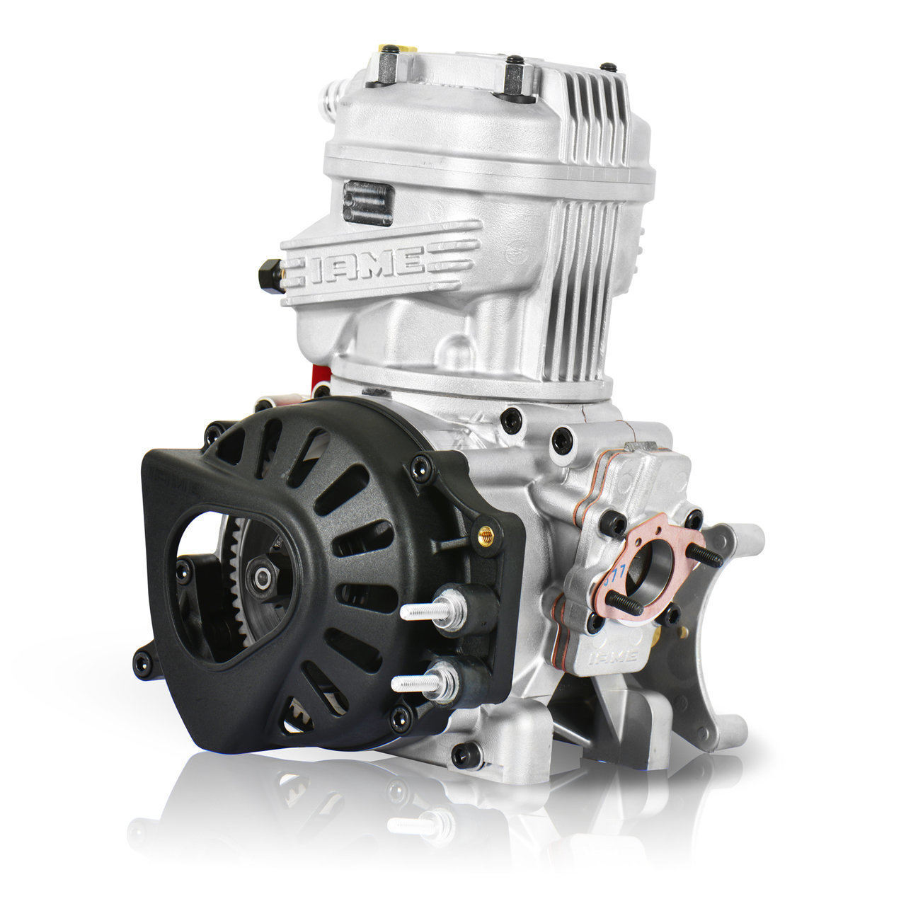 Iame X30 Engine Package