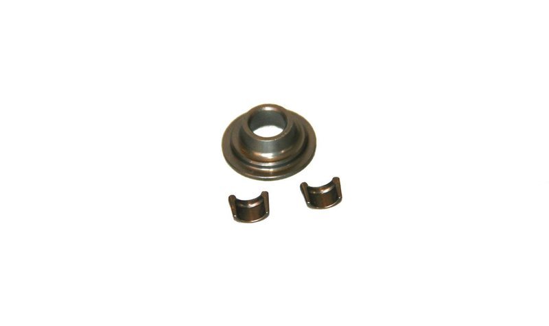 555550 Briggs Animal Valve Retainer