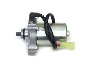 Iame X30/MY09/Leopard Starter Motor