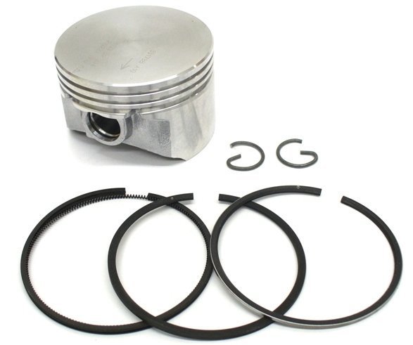 5556* Briggs Animal Piston