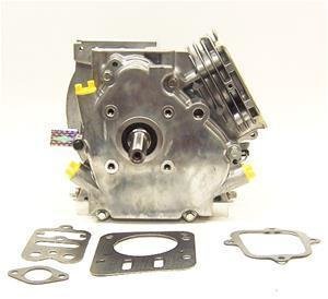555715A Briggs 206-Animal Sealed Short Block