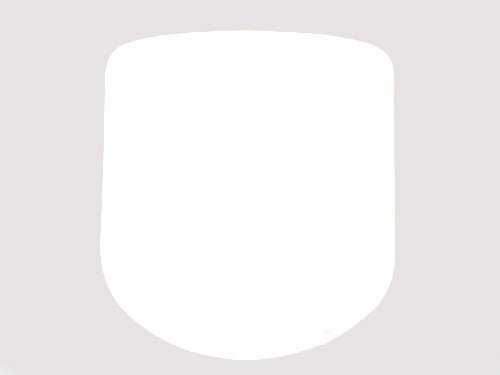 White Driver Fairing Stick On Number Panel