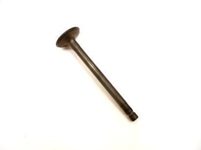 555552 Briggs Animal Exhaust Valve