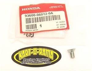 Honda CR125 6x12 Flat Head Screw Output Shaft Bearing Flange Screw
