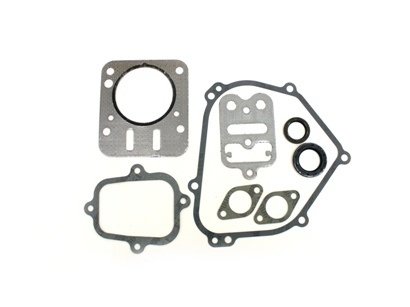 Briggs World Formula Gasket Set