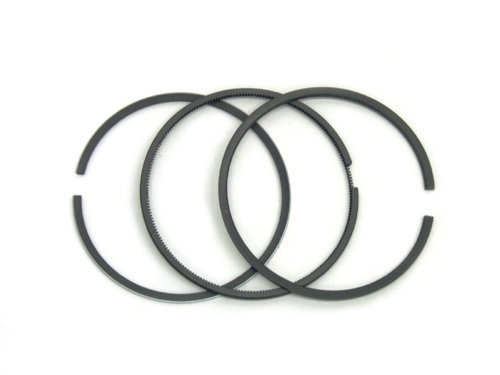 55566* Briggs World Formula-Animal Piston Ring Set