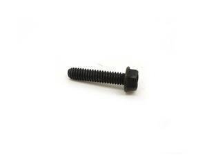 692551 Briggs World Formula-Animal Crank Case Cover Bolt  - 1/4 "