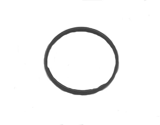 Honda CR125 Exhaust Manifold Seal 2001