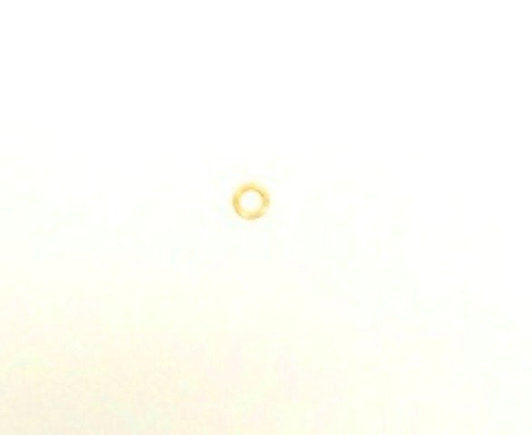 Hi Idle & High Speed Mixture Screw Washer