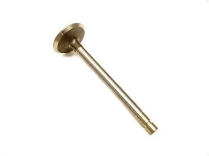 555551 Briggs Animal Intake Valve
