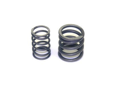 Briggs World Formula Intake or Exhaust Spring Briggs World Formula Intake or Exhaust Spring