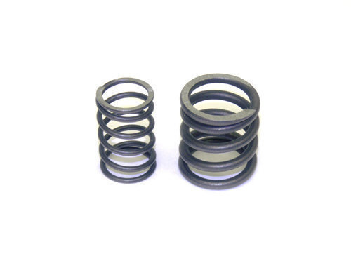 Briggs World Formula Intake or Exhaust Spring