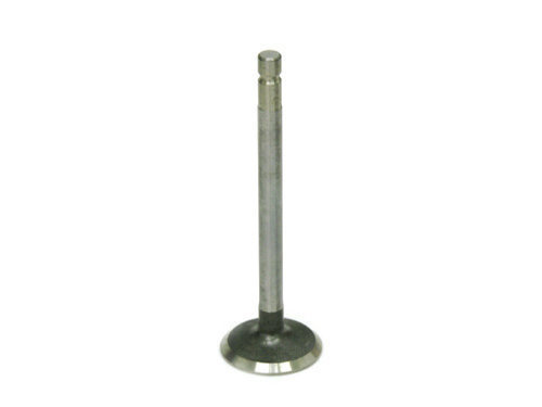 Briggs World Formula Intake Valve