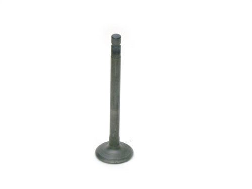 Briggs World Formula  Exhaust Valve
