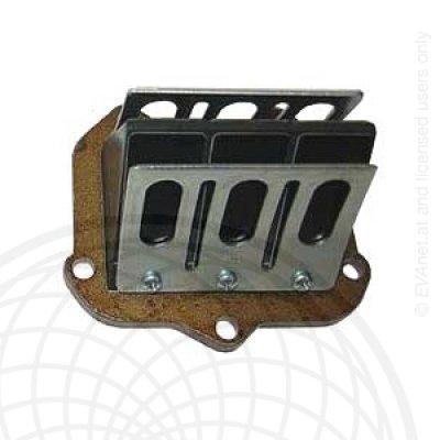 Rotax Reed Cage 2009 & Up FR125