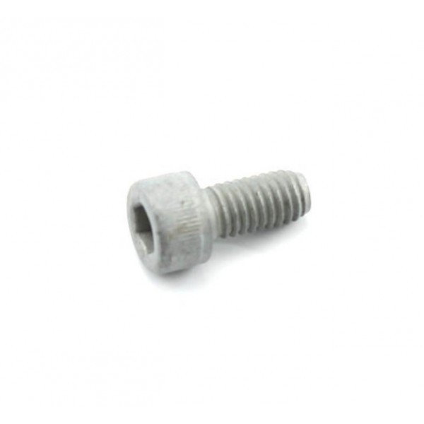 Rotax Clutch Bolts 2009 & Up