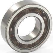 Iame X30 Crankshaft Bearing 6206 SKF