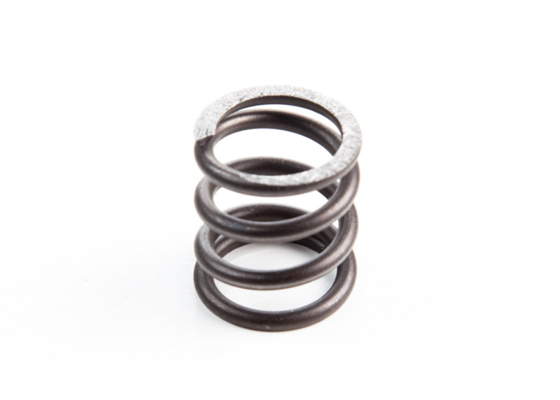 26826 Briggs Animal Valve Spring 26826 Briggs Animal Valve Spring