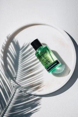 Jacques Zolty - Été du Cocotier Jacques Zolty - Été du Cocotier