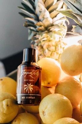 Jacques Zolty - Me Gustas