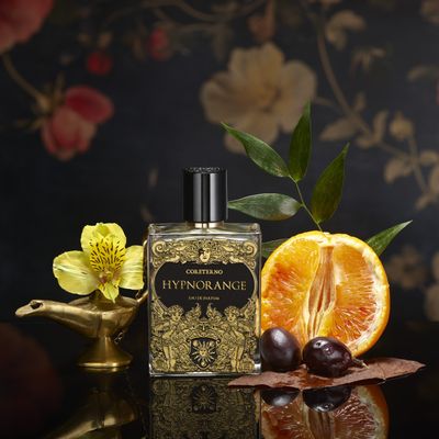 Coreterno - Hypnorange Coreterno - Hypnorange