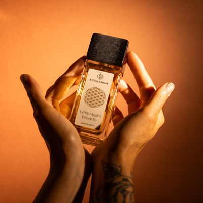 Bottega Somalani - Linguaggio Binario