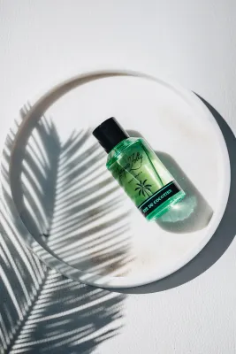 Jacques Zolty - Été du Cocotier