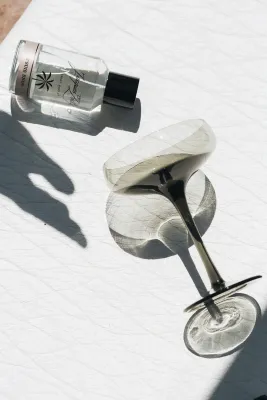 Jacques Zolty - J'suis Snob