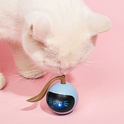 Interactive Self Rolling Ball Cat Toy