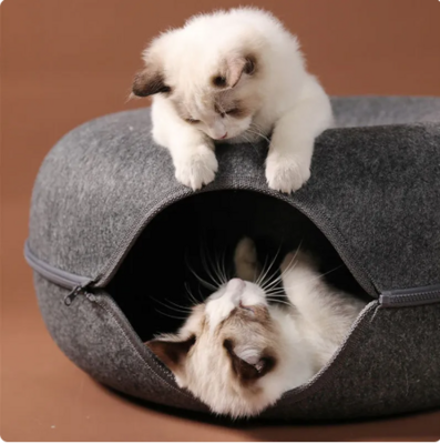 Donut Tunnel Cat Bed
