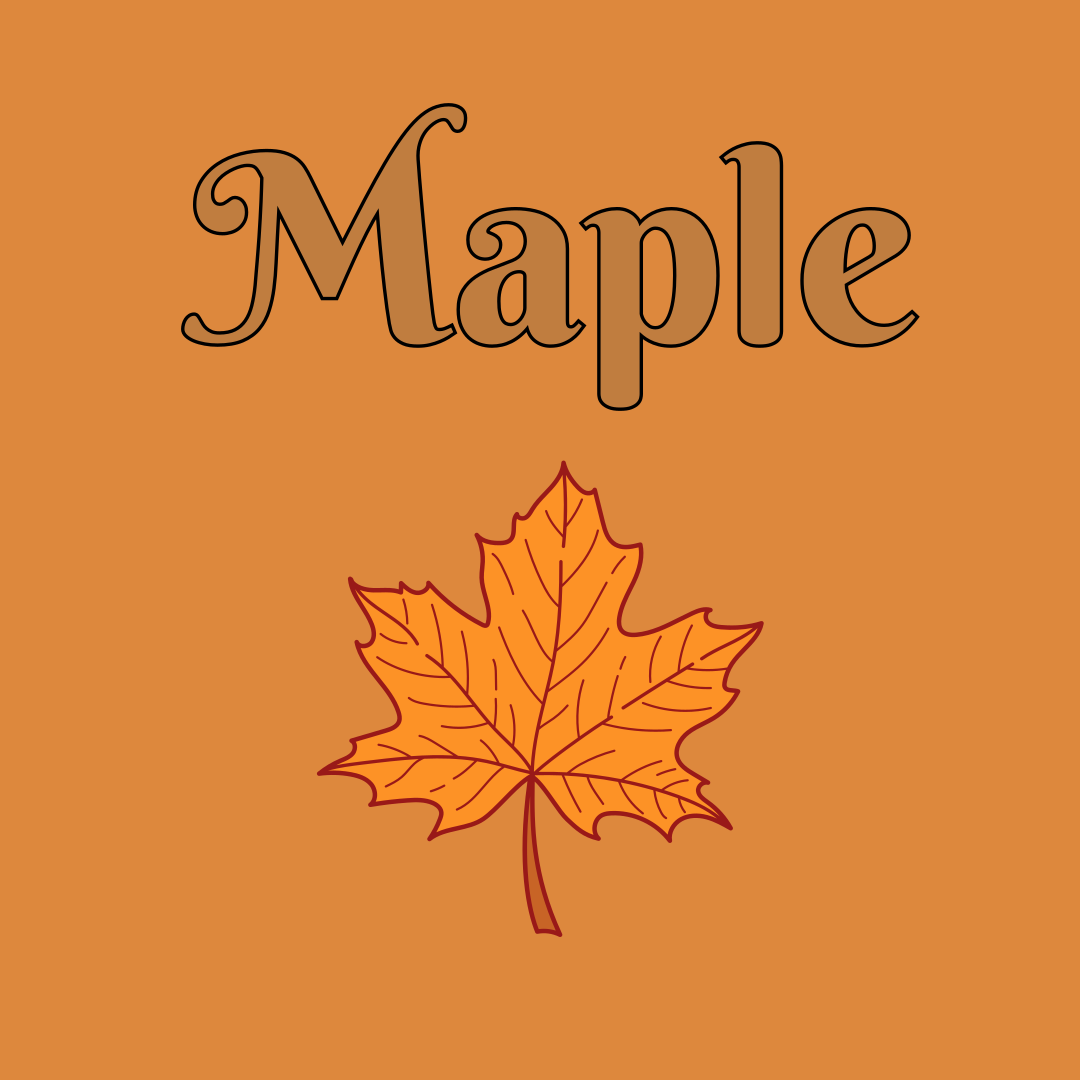 Maple