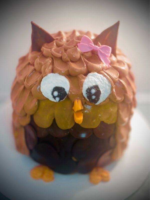 Owl Cake