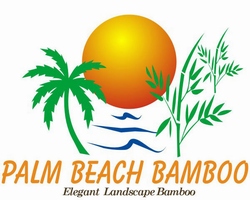 Palm Beach Bamboo