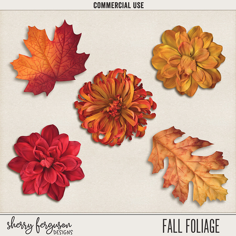 {CU} Fall Foliage