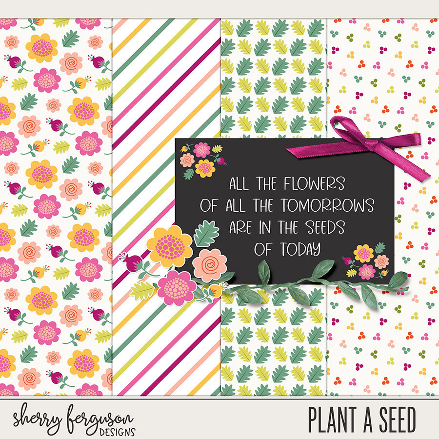 Plant a Seed Mini Kit