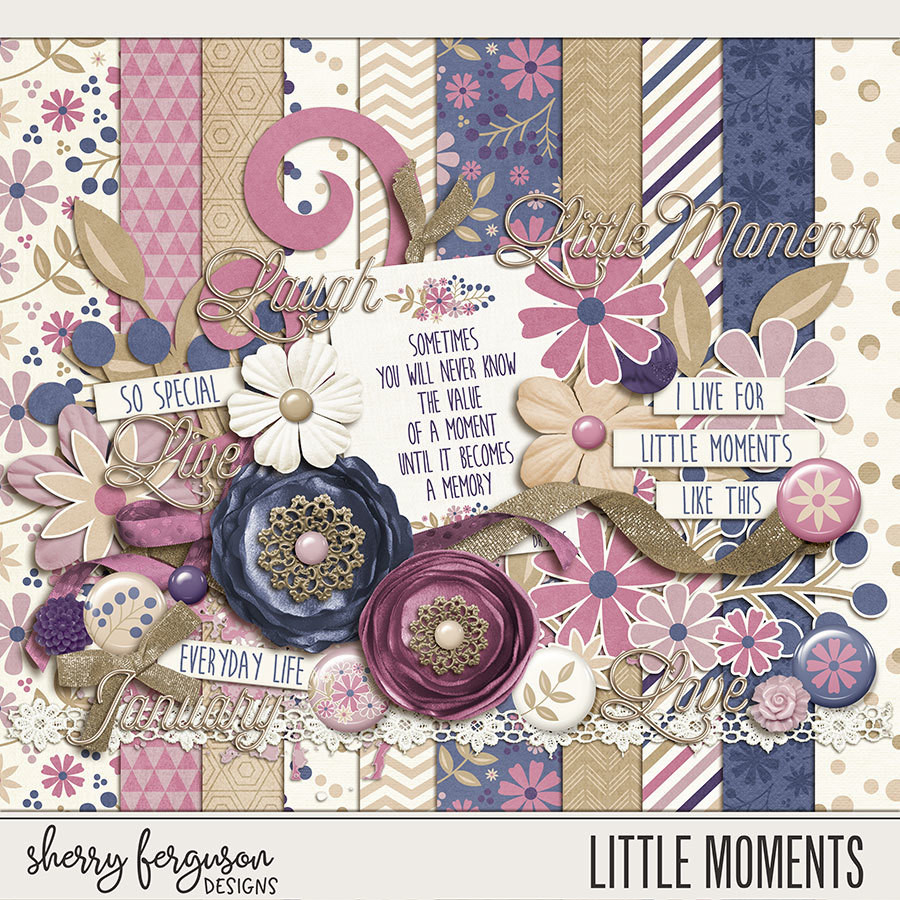 Little Moments Kit