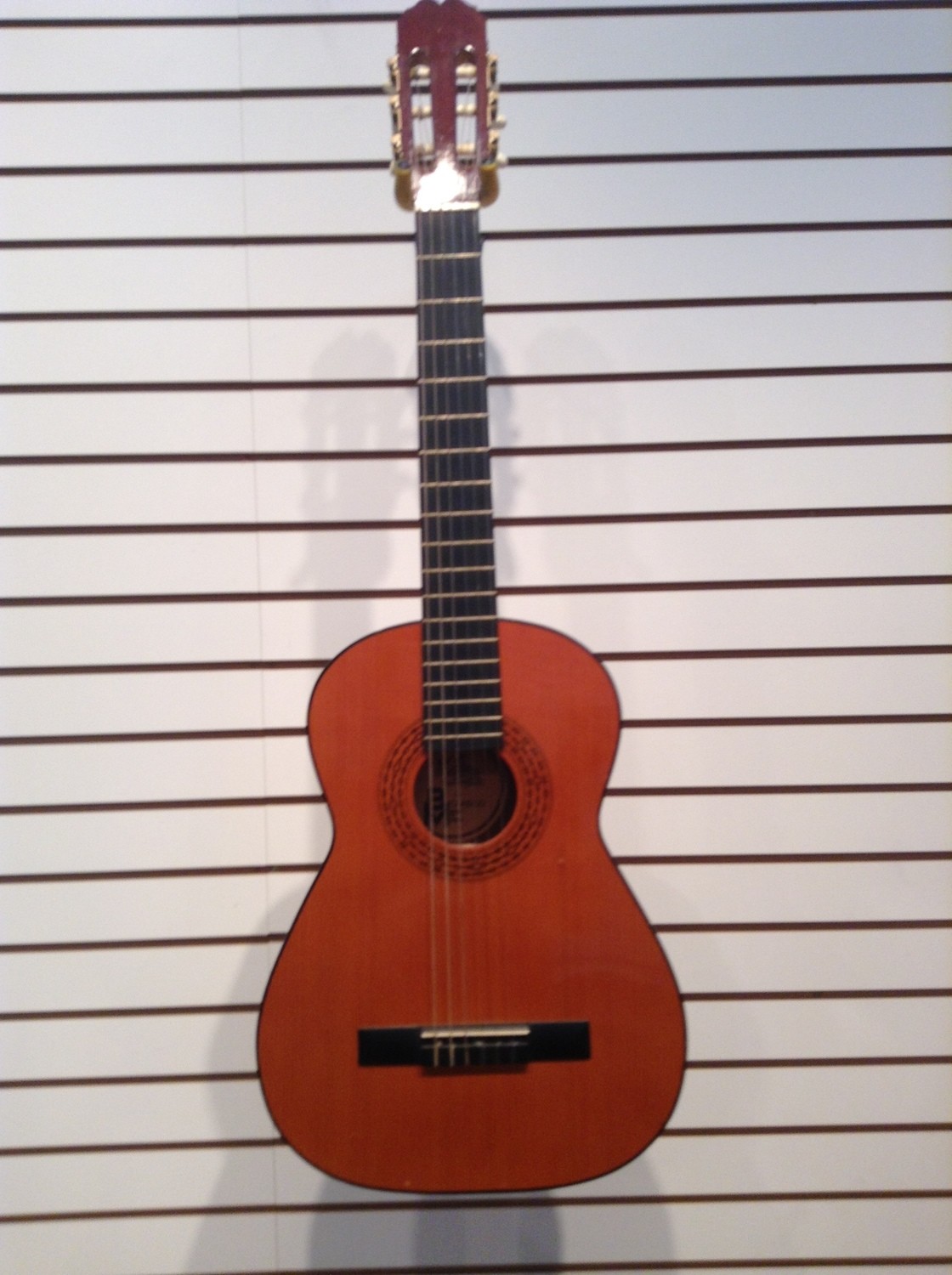 BM Clasico Guitar (Classical)