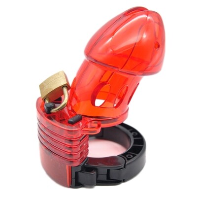 Chastity Cock Cage