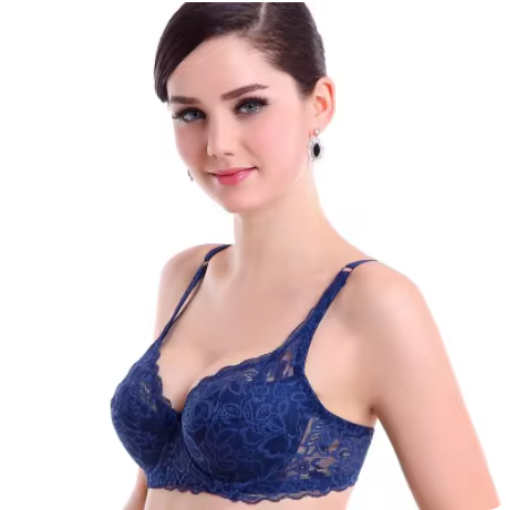 Transparent Lace Push-up Bra