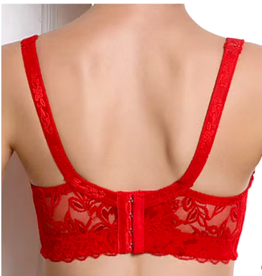 Transparent Lace Push-up Bra