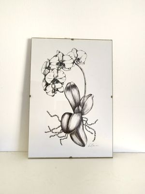 Orchid pen sketch